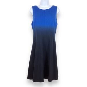 Catherine Malandrino Blue Ombre Knit Sleeveless A-Line Dress sz 8